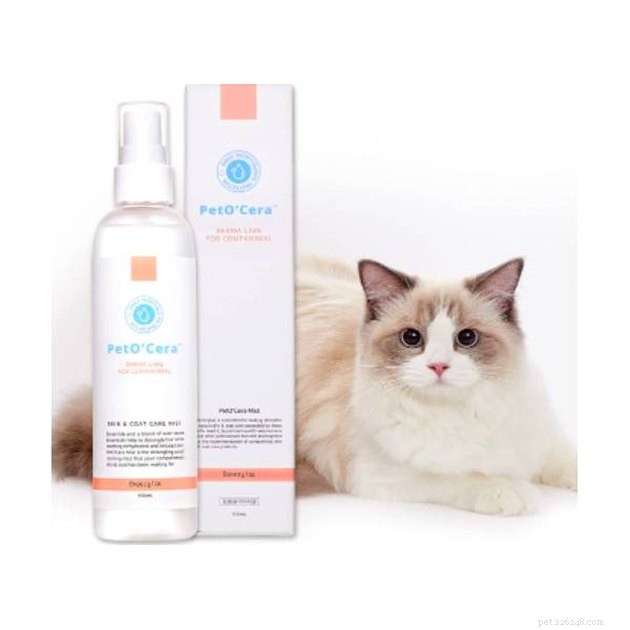 Top 2022 Grooming Products to Minimize Cat Dander and Allergy Symptoms