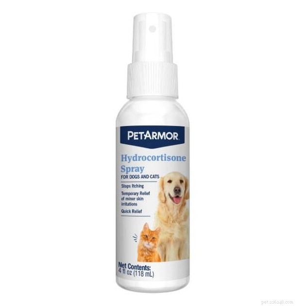 Top 2022 Grooming Products to Minimize Cat Dander and Allergy Symptoms
