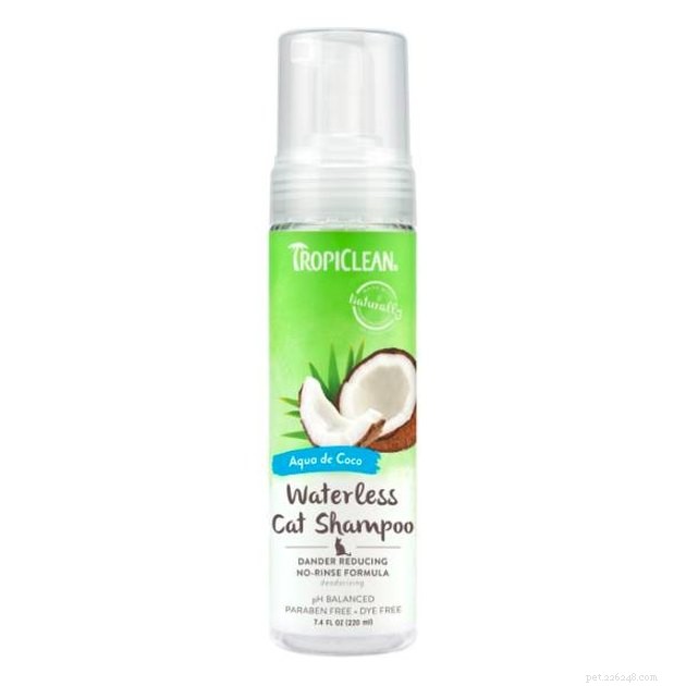 Top 2022 Grooming Products to Minimize Cat Dander and Allergy Symptoms