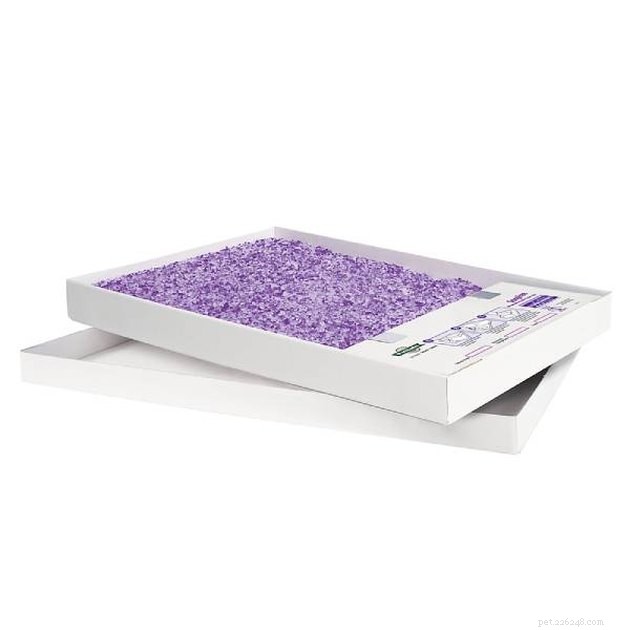 Top Crystal Cat Litter Picks of 2022: Ultra‑Absorbent & Odor‑Control