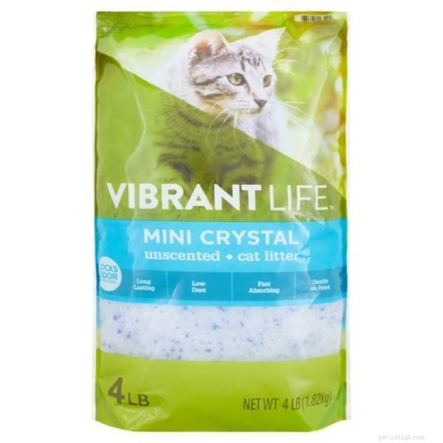 Top Crystal Cat Litter Picks of 2022: Ultra‑Absorbent & Odor‑Control