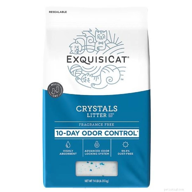 Top Crystal Cat Litter Picks of 2022: Ultra‑Absorbent & Odor‑Control