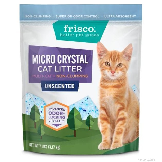 Top Crystal Cat Litter Picks of 2022: Ultra‑Absorbent & Odor‑Control