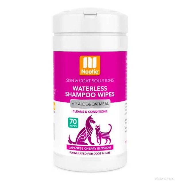 Top Waterless Cat Shampoos of 2022: Safe, Easy, and Effective