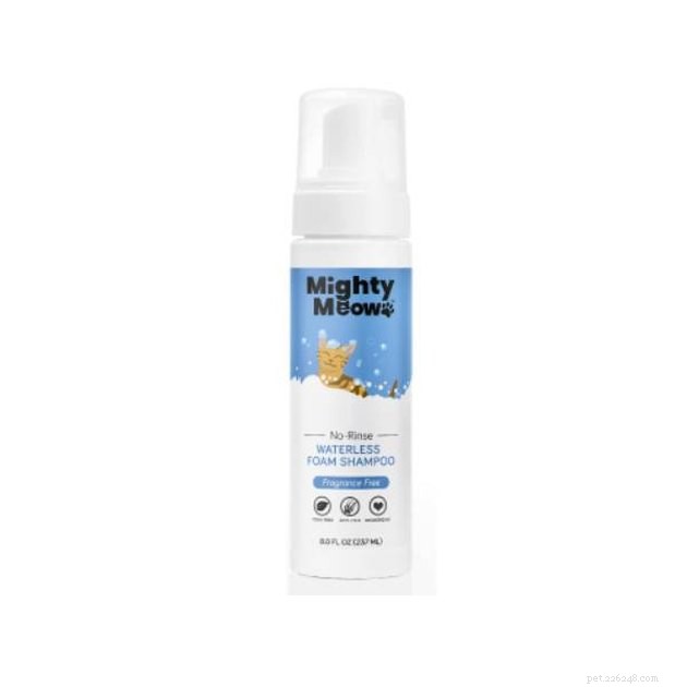 Top Waterless Cat Shampoos of 2022: Safe, Easy, and Effective