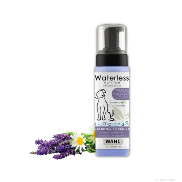 Top Waterless Cat Shampoos of 2022: Safe, Easy, and Effective