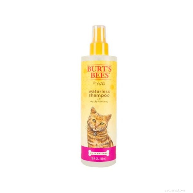 Top Waterless Cat Shampoos of 2022: Safe, Easy, and Effective