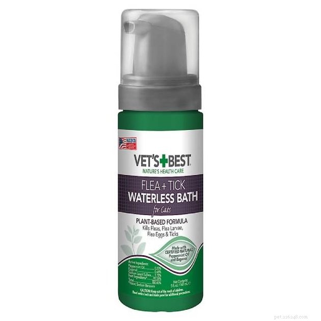 Top Waterless Cat Shampoos of 2022: Safe, Easy, and Effective