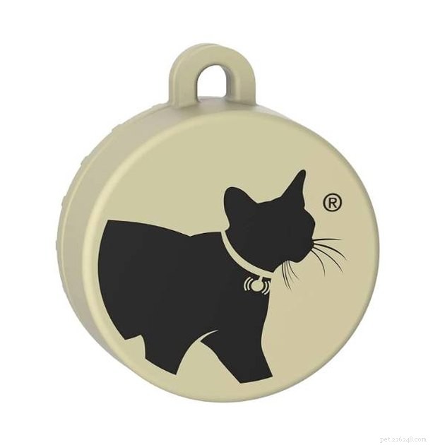 Top GPS Cat Trackers of 2022: Locate Your Feline Fast & Safely