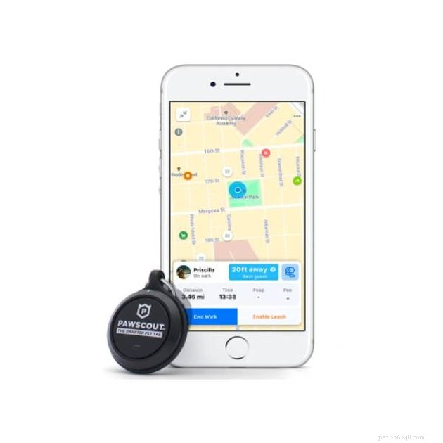 Top GPS Cat Trackers of 2022: Locate Your Feline Fast & Safely