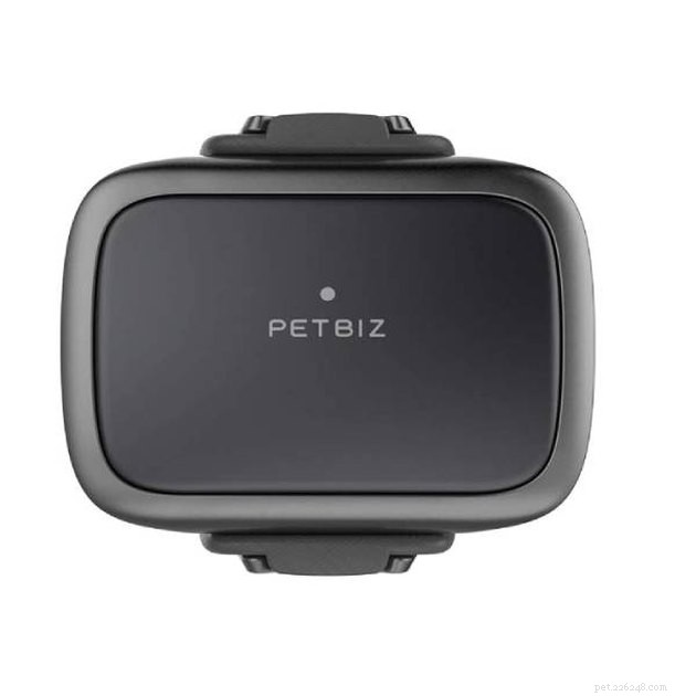 Top GPS Cat Trackers of 2022: Locate Your Feline Fast & Safely