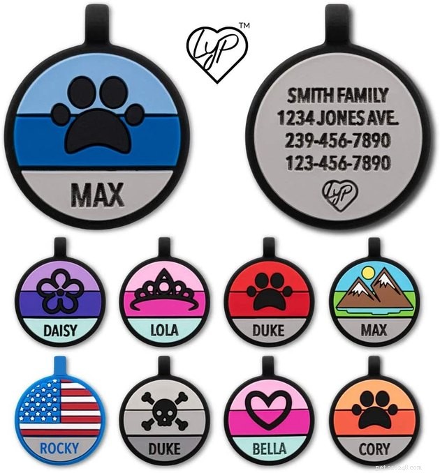 Top Cat ID Tags of 2022: Keep Your Feline Safe & Secure