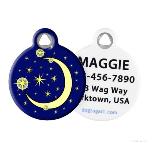 Top Cat ID Tags of 2022: Keep Your Feline Safe & Secure