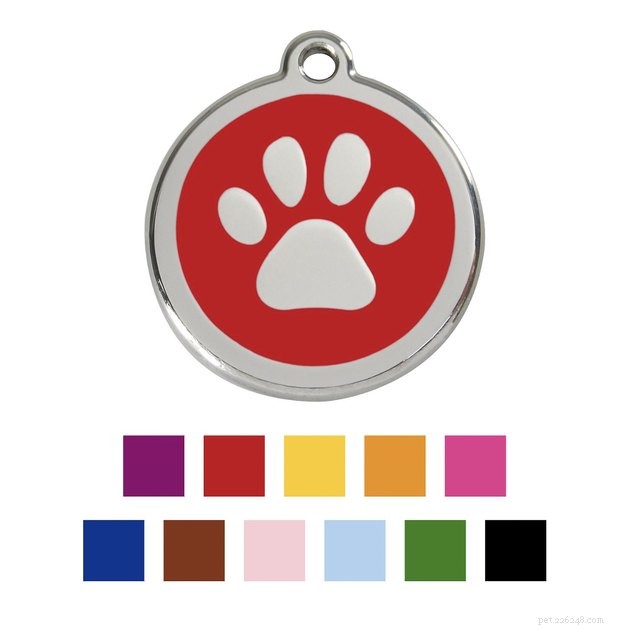 Top Cat ID Tags of 2022: Keep Your Feline Safe & Secure
