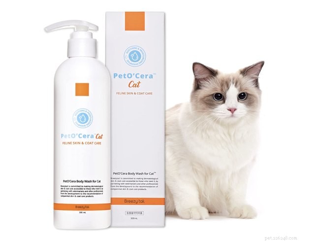 Top Cat Shampoos of 2022: Trusted Picks for Clean, Healthy Paws