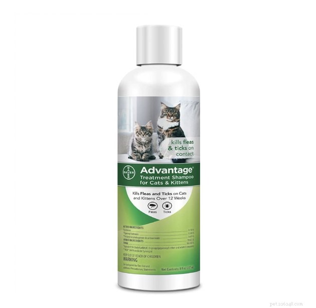 Top Cat Shampoos of 2022: Trusted Picks for Clean, Healthy Paws