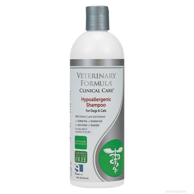 Top Cat Shampoos of 2022: Trusted Picks for Clean, Healthy Paws