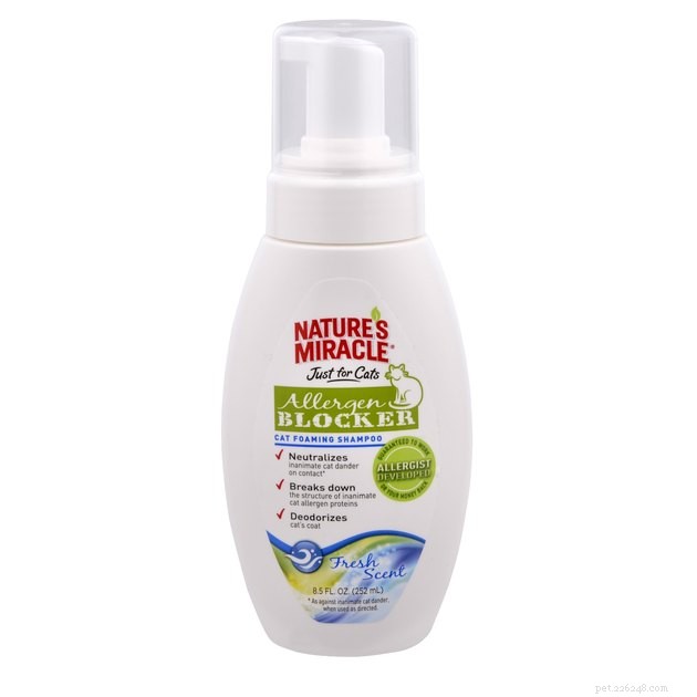 Top Cat Shampoos of 2022: Trusted Picks for Clean, Healthy Paws