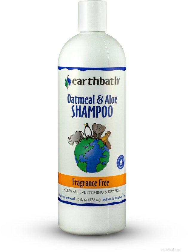 Top Cat Shampoos of 2022: Trusted Picks for Clean, Healthy Paws