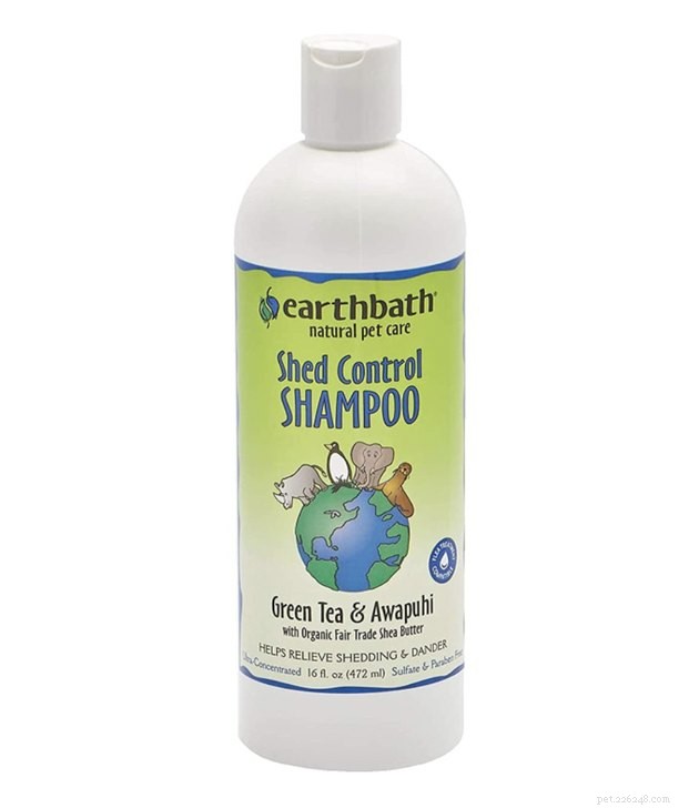 Top Cat Shampoos of 2022: Trusted Picks for Clean, Healthy Paws
