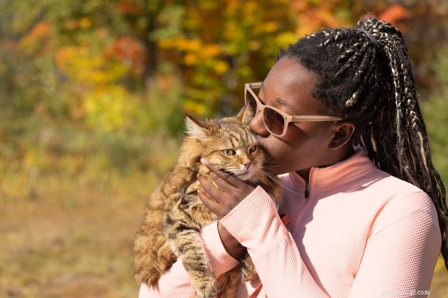 10 Essential Tips for New Cat Parents: A Complete Guide to a Happy, Healthy Home