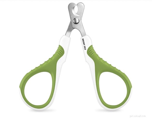 Best Cat Nail Clippers 2022: Trim with Confidence and Care