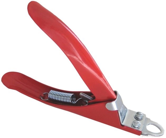 Best Cat Nail Clippers 2022: Trim with Confidence and Care