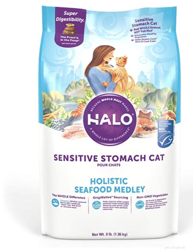 Top Cat Foods for Sensitive Stomachs – 2022 Expert Guide