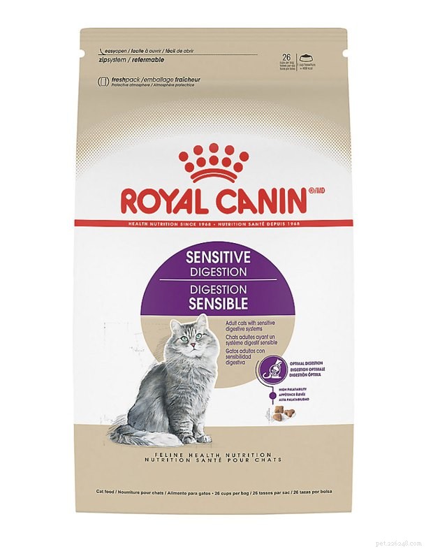 Top Cat Foods for Sensitive Stomachs – 2022 Expert Guide