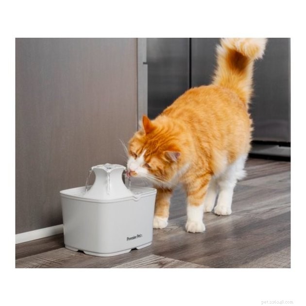 Top Cat Water Fountains of 2022: Keep Your Feline Hydrated & Healthy