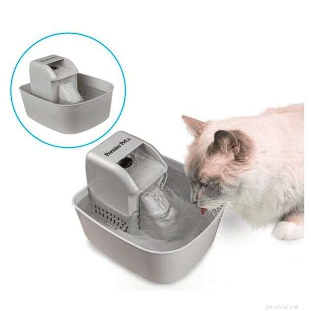 Top Cat Water Fountains of 2022: Keep Your Feline Hydrated & Healthy