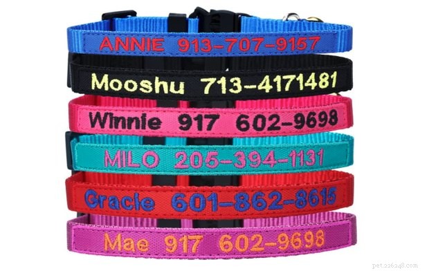 Best Cat Collars of 2022: Safe, Stylish, and Comfortable