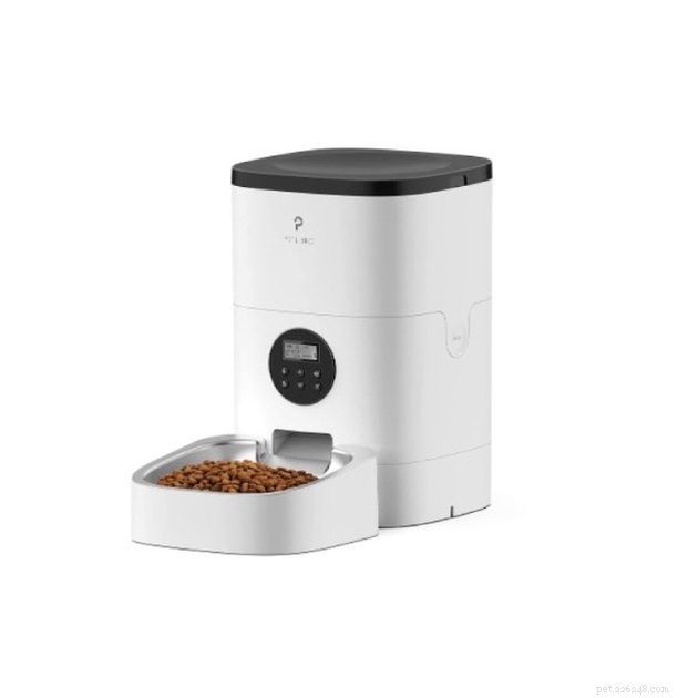 Top Automatic Cat Feeders 2022: Reliable, Timed Feeding for Healthy Cats