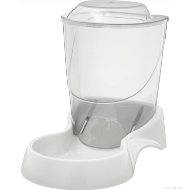 Top Automatic Cat Feeders 2022: Reliable, Timed Feeding for Healthy Cats