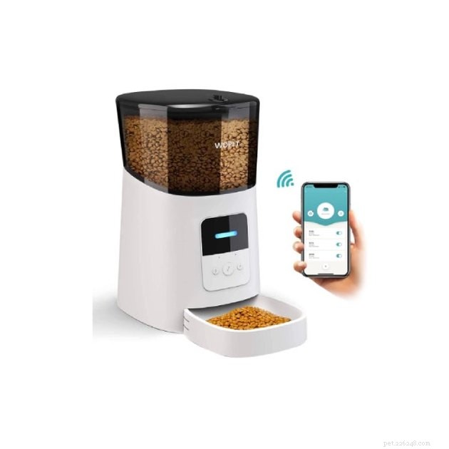 Top Automatic Cat Feeders 2022: Reliable, Timed Feeding for Healthy Cats