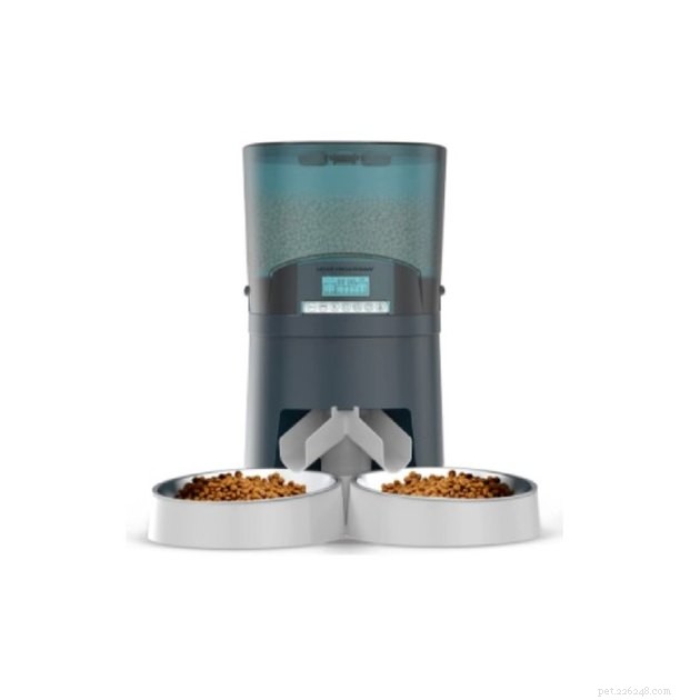 Top Automatic Cat Feeders 2022: Reliable, Timed Feeding for Healthy Cats