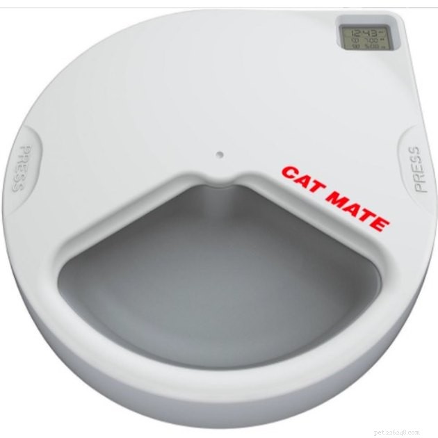 Top Automatic Cat Feeders 2022: Reliable, Timed Feeding for Healthy Cats