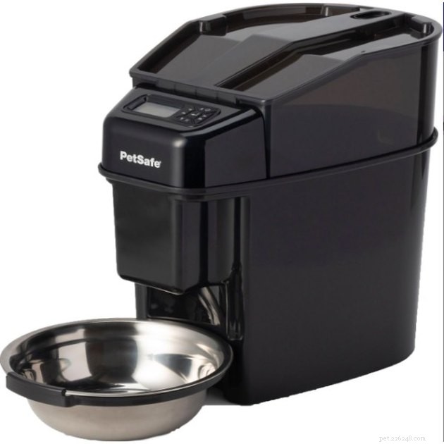 Top Automatic Cat Feeders 2022: Reliable, Timed Feeding for Healthy Cats