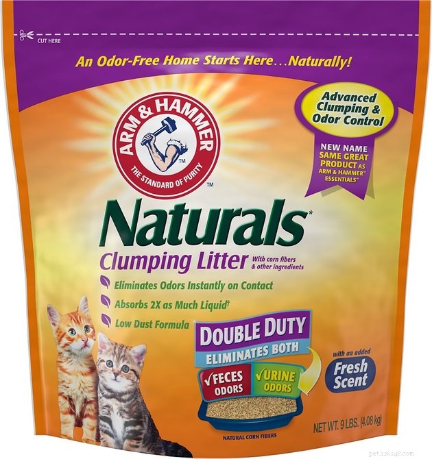 Top Clumping Cat Litters of 2022: Clean, Odor‑Free, Long‑Lasting Solutions