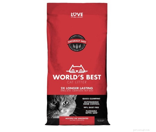 Top Clumping Cat Litters of 2022: Clean, Odor‑Free, Long‑Lasting Solutions