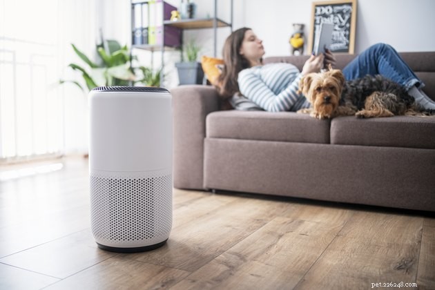Top 2022 Air Purifiers for Pet Owners – Clean, Allergy‑Free Air