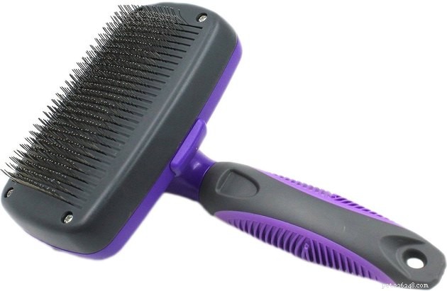 Top Cat Brushes 2022: Expert Picks for a Smooth, Shedding‑Free Coat