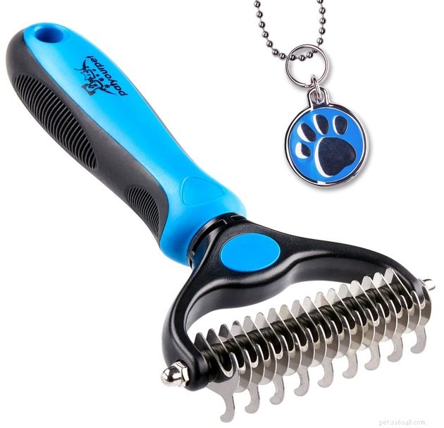 Top Cat Brushes 2022: Expert Picks for a Smooth, Shedding‑Free Coat