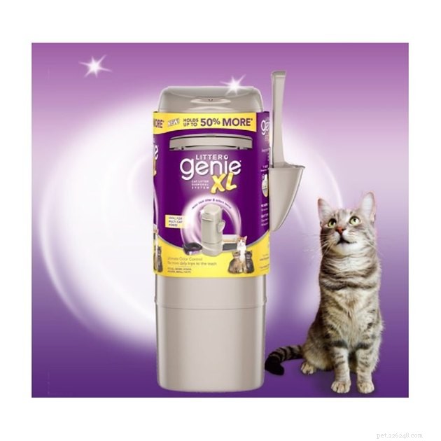 Top Cat Litter Disposal Systems of 2022: Odor‑Free, Easy, and Eco‑Friendly