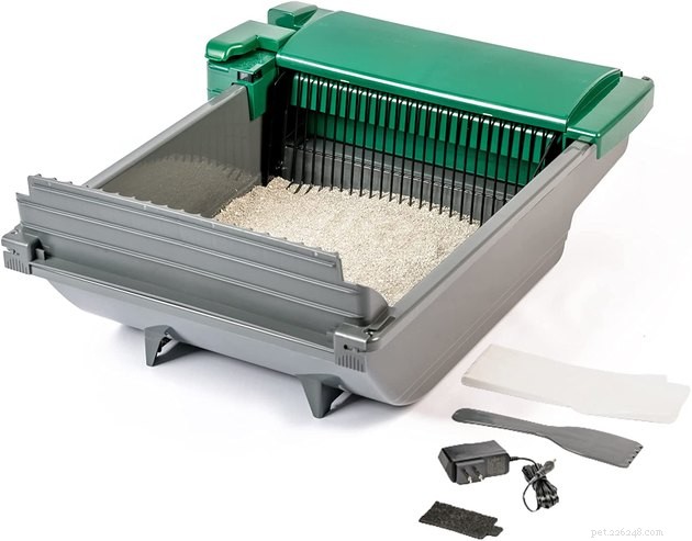 Top Cat Litter Disposal Systems of 2022: Odor‑Free, Easy, and Eco‑Friendly