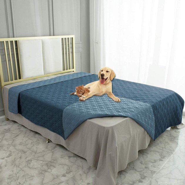 Top 2022 Furniture Protectors Every Pet Owner Should Consider