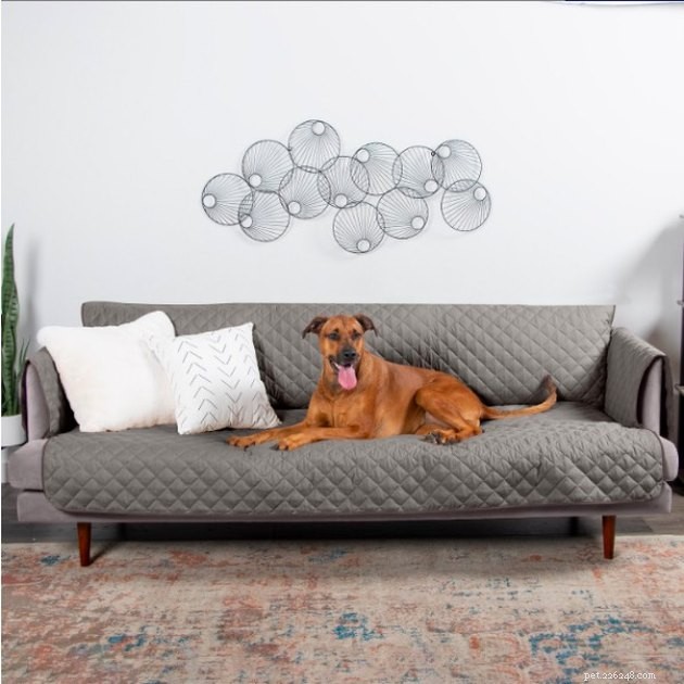 Top 2022 Furniture Protectors Every Pet Owner Should Consider