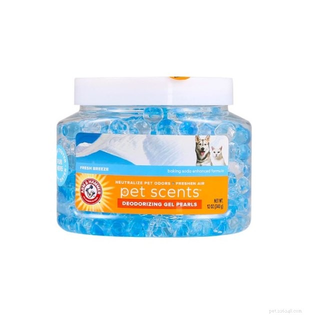 Top Cat Litter Deodorizers of 2022: Fresh & Long-Lasting Solutions