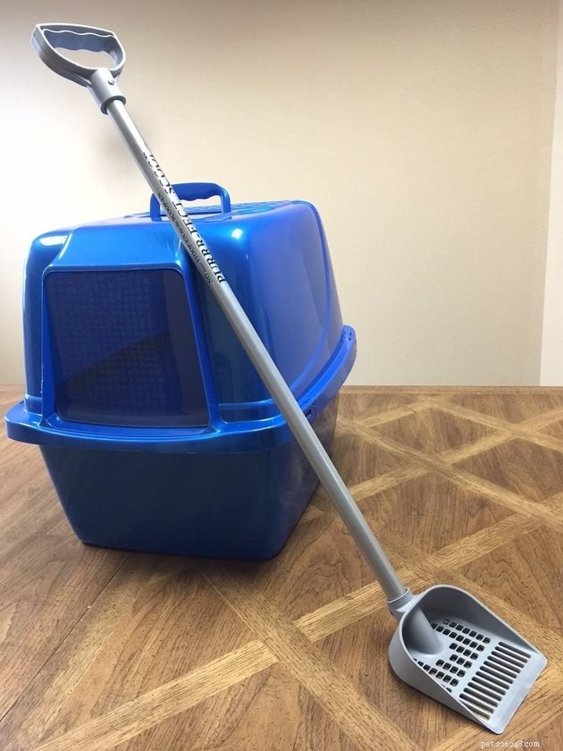 Top Cat Litter Scoops of 2022: Clean, Durable, Easy to Use