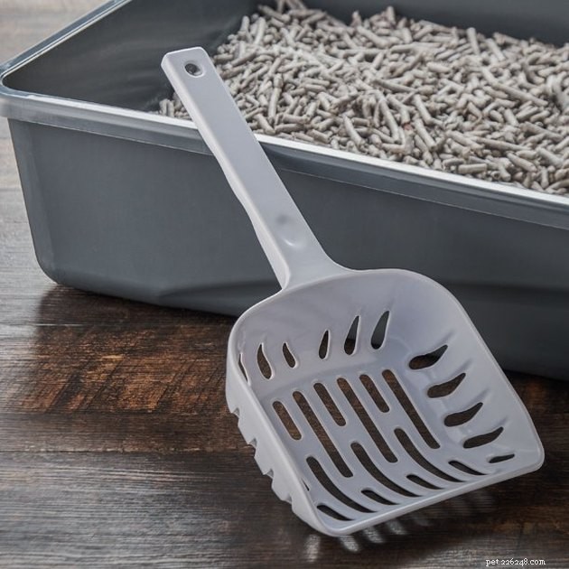 Top Cat Litter Scoops of 2022: Clean, Durable, Easy to Use